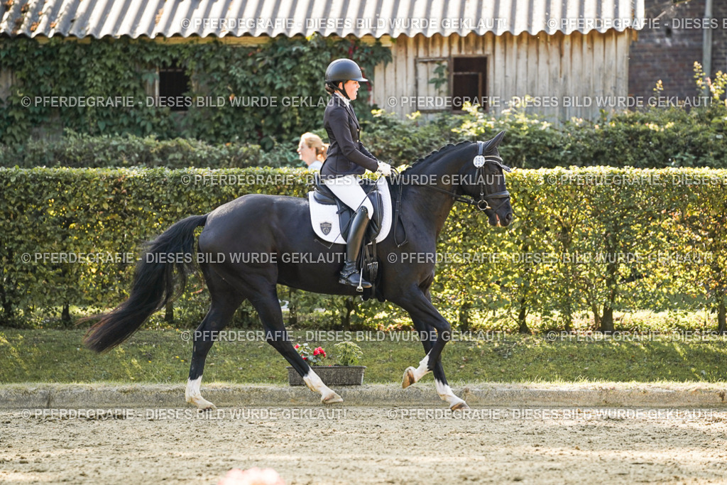 DSC06612 | Pferdegrafie