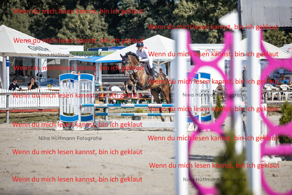 BK1A7035 | Turnierbilder Turnierfotos Nina Hüffmann Turnierfotografie Pferdefotografie Tierzeichnung Haustierzeichnung Pferdezeichnung Hundezeichnung Videograf  - Realisiert mit Pictrs.com