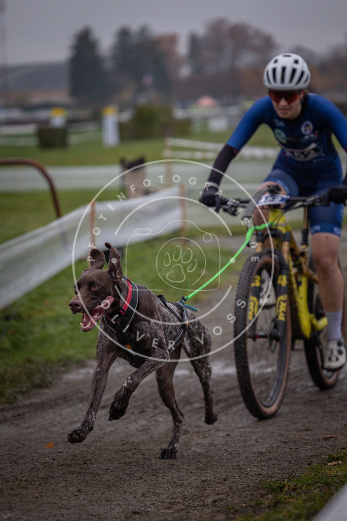 CaniXpix_0L8A1637 | Hundefotografie, Tierfotograf, Pfotenfotografie, Fotoshooting Hund, Hunde Portrait, Hundesport, Hundeportraits, Heideshooting, Hunde, Sportfotograf, Hundefotograf, Turnierhundsport, THS,  - Realisiert mit Pictrs.com
