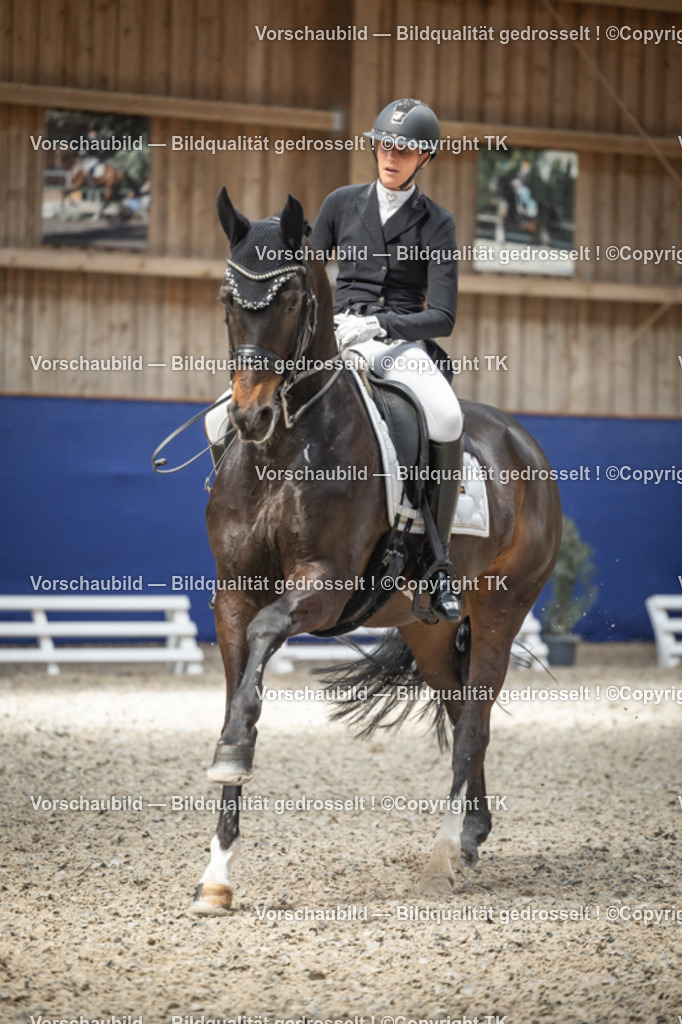 _D5A0056 | Emotionale Pferde- & People-Fotografie rund um Heidelberg, Leimen & Umgebung. Natürliche Fotos von Pferd, Mensch & Familie. Jetzt Termin sichern!