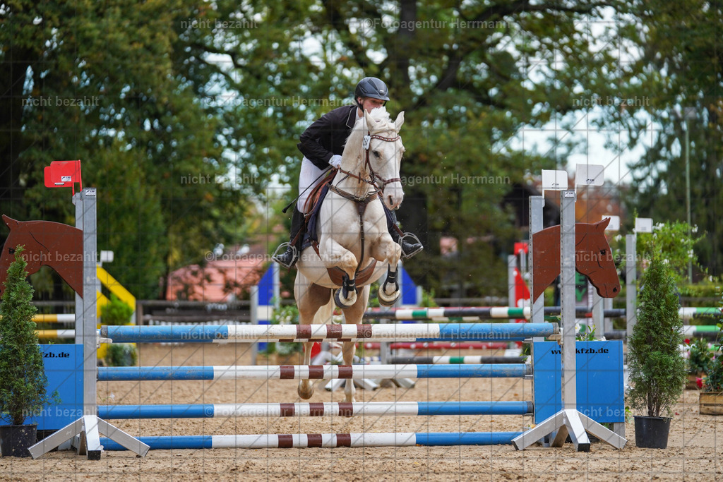 20221009-FAH08306 | Diessen am Ammersee, 2022, Dressur- und Springturnier, Reitsportbilder, Turnierfotografen Bayern, Pferdefotografen, Fotoagentur Herrmann, Turnierbilder