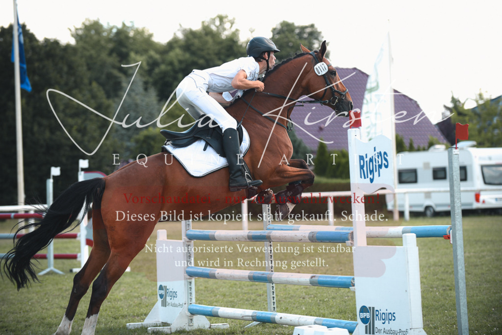 DSC_6906 | Pferde- und Turnierfotografie in Westsachsen. Pferdeportraits, Auftragszeichnungen und intuitive Kunst.