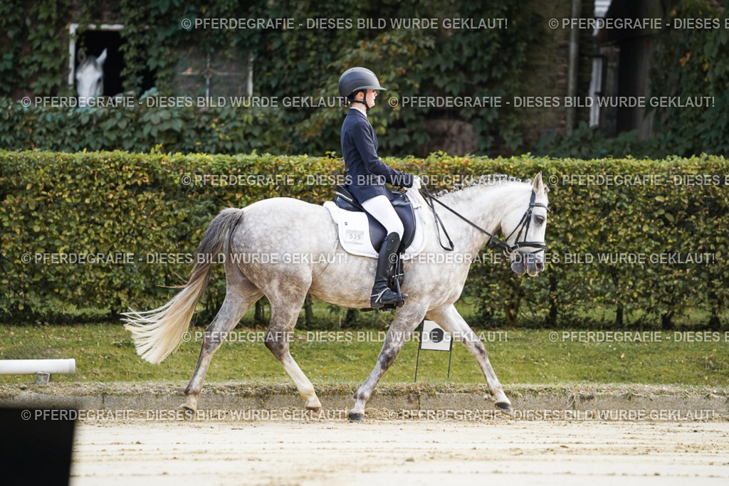 DSC05373 | Pferdegrafie