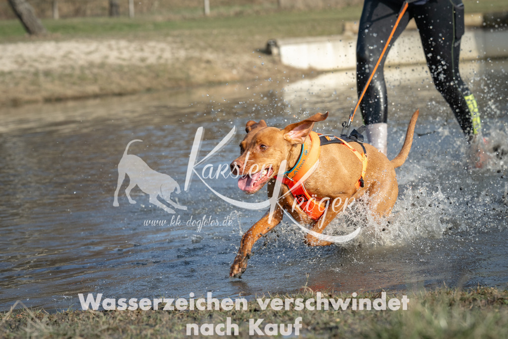1531_ZZ91939 | kk-dogfotos