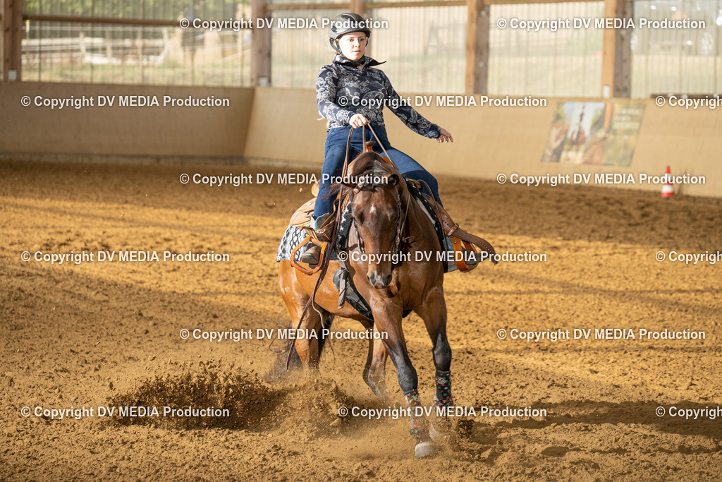 LAU01418 | dv-media-shop - Realisiert mit Pictrs.com