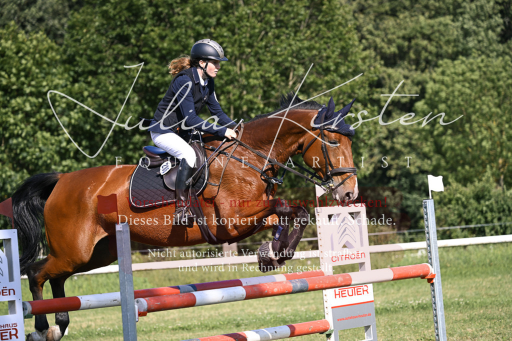 DSC_1323 | Pferde- und Turnierfotografie in Westsachsen. Pferdeportraits, Auftragszeichnungen und intuitive Kunst.