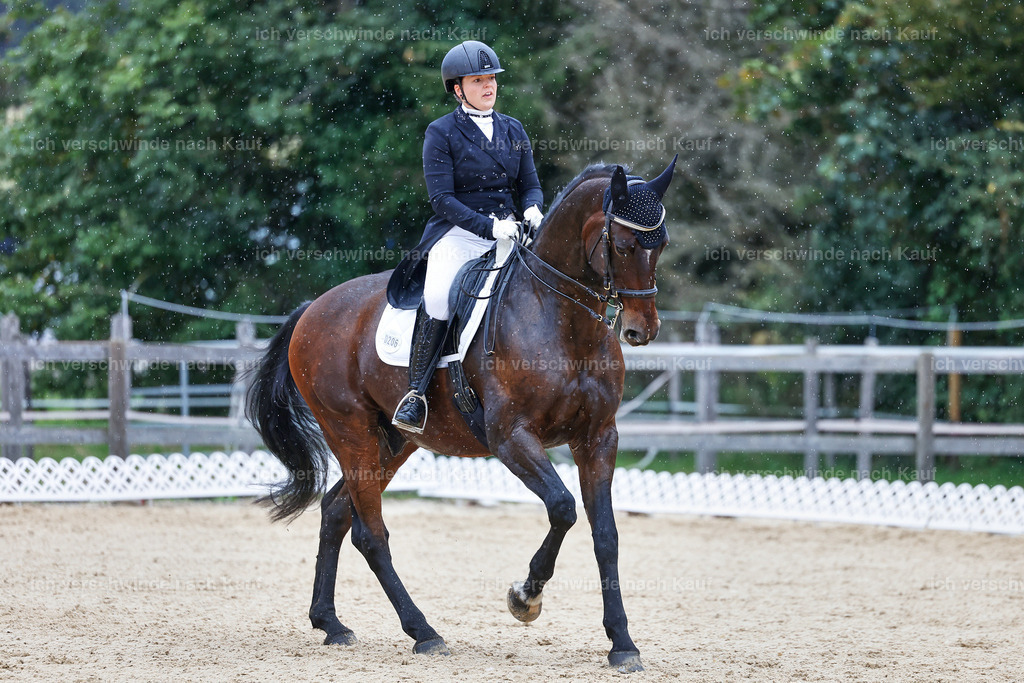 8_1-206-Klasse S_  -StoibPH-3916 | working equitationturnier fotograf videograf stoibphotography marixx film working equitation deutschland reitsport turnierfotografie eventfotografie equestrian events