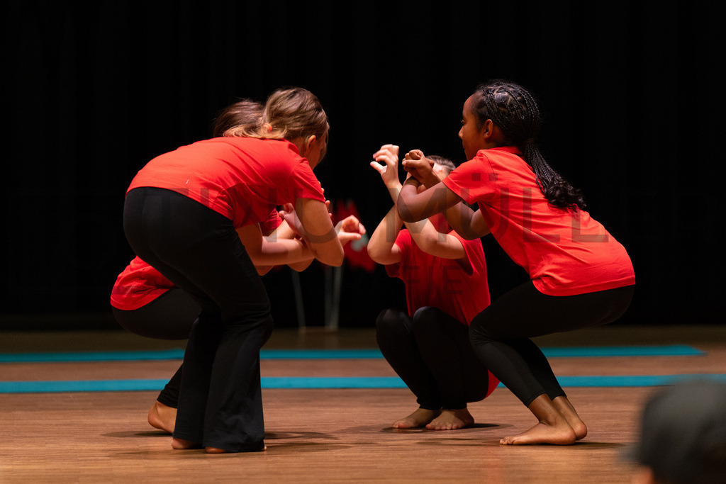 DSC08203 | Tinu Müller Fotografie- Bildershop - Realisiert mit Pictrs.com