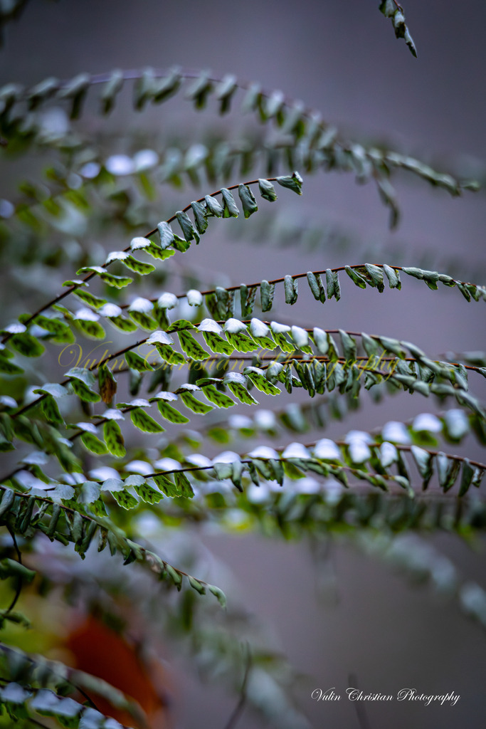 JBK 10 | Christian Vulin  - Realisiert mit Pictrs.com