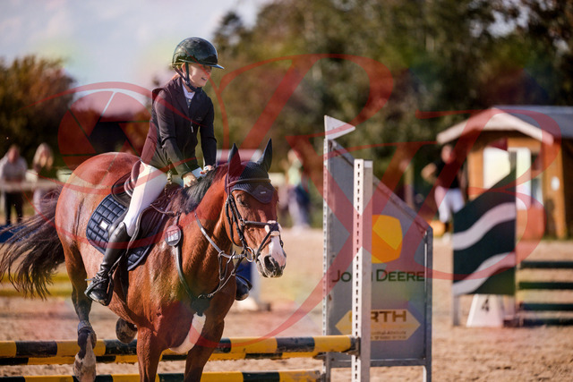 2026_10_03_Siefer-Hof_154631_Z81_65120578 | Professionelle Reitsport-, Turnier- und Eventfotografie von Robert Broda. Galerien mit ausgewählten und bearbeiteten Bildern direkt online ansehen und bestellen.