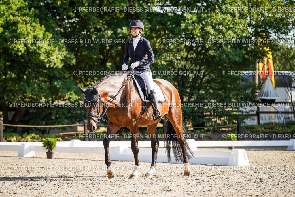 DSC08979 | Pferdegrafie