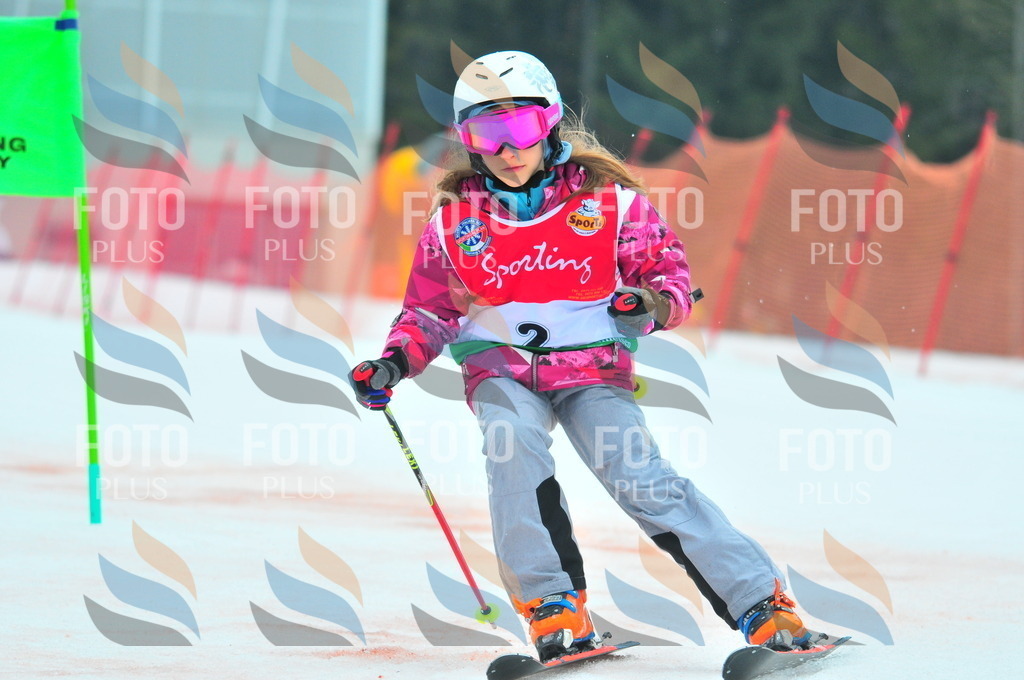 C0395 | holidayphoto