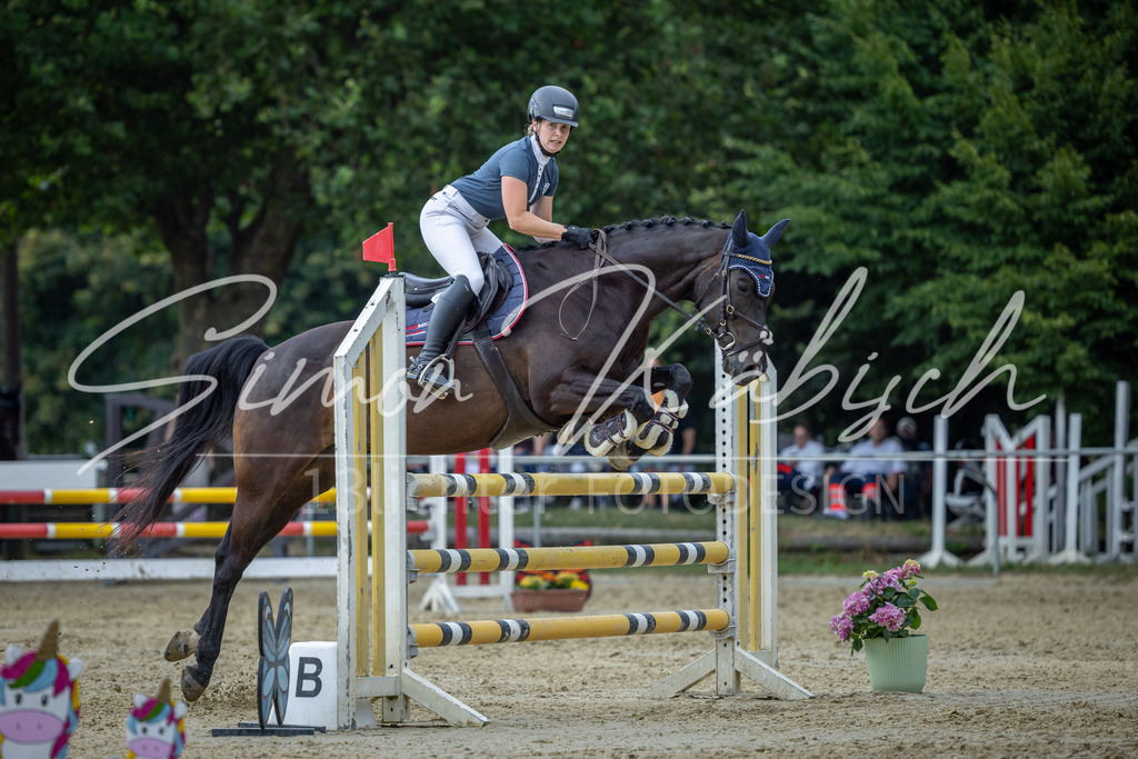 20260704-_3LI1740 | Tierfotografie Pferde, Hunde, Katzen, Haustiere.
Turnierfotografie Reitturniere, Reiten, Springreiten, Dressur in Hanau, dem Main-Kinzig-Kreis und dem Rhein-Main- Gebiet um Frankfurt