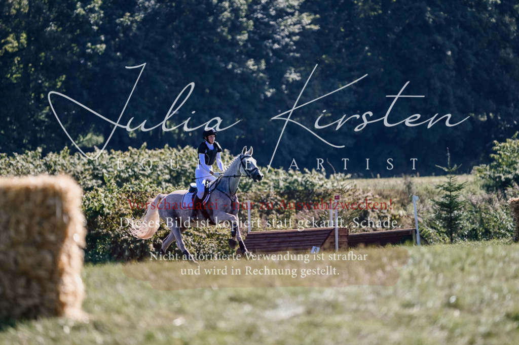DSC_3001 | Pferde- und Turnierfotografie in Westsachsen. Pferdeportraits, Auftragszeichnungen und intuitive Kunst.