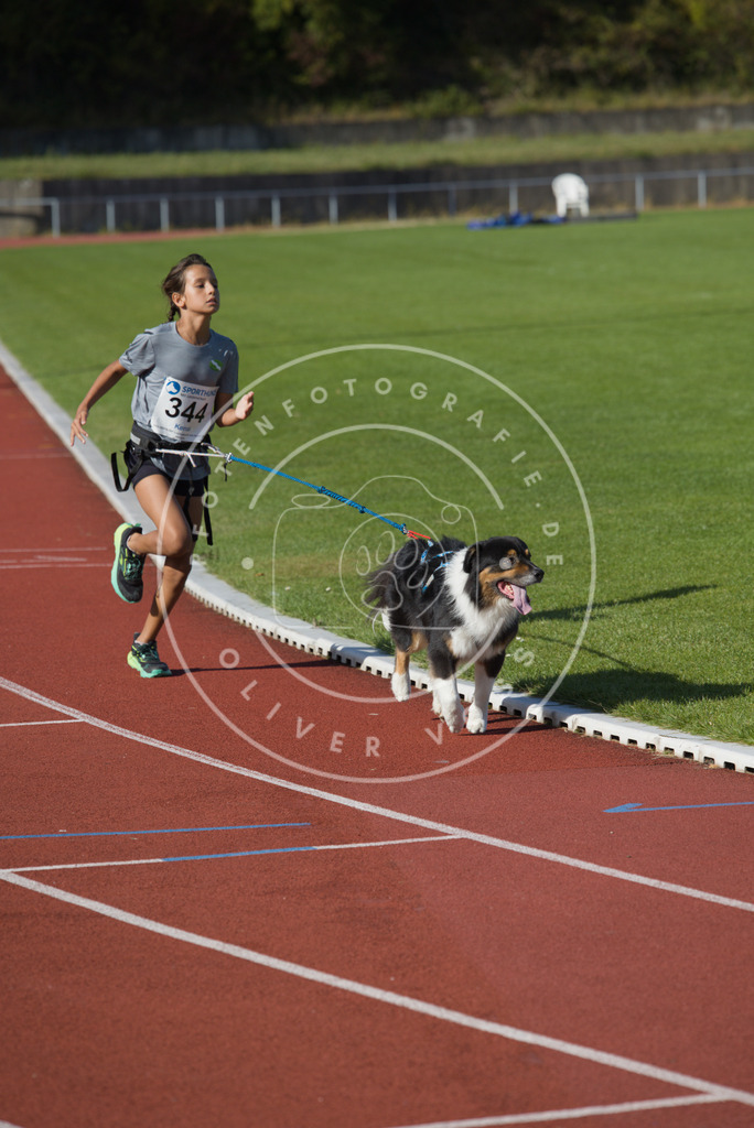 0L8A9090 | Hundefotografie, Tierfotograf, Pfotenfotografie, Fotoshooting Hund, Hunde Portrait, Hundesport, Hundeportraits, Heideshooting, Hunde, Sportfotograf, Hundefotograf, Turnierhundsport, THS,  - Realisiert mit Pictrs.com