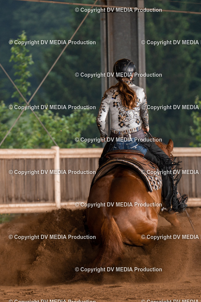 Erbach Tag 3-858 | dv-media-shop - Realisiert mit Pictrs.com