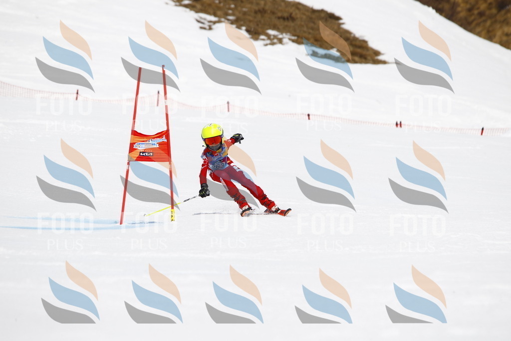 _U3G6576 | holidayphoto