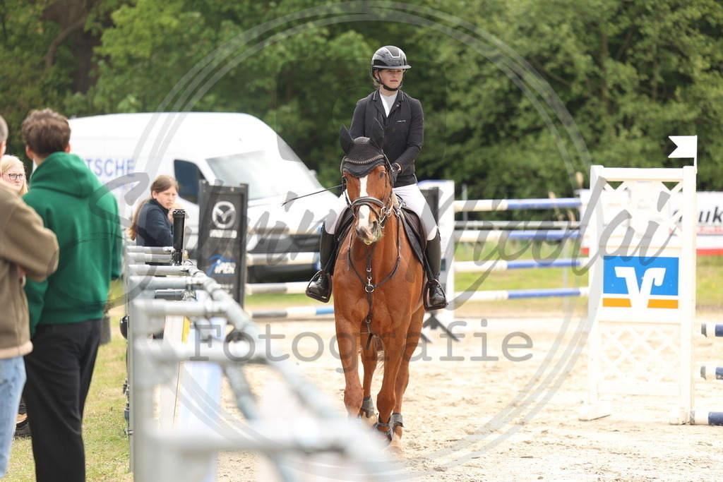 994A8888 | sabrinanicolaifotografie - Realisiert mit Pictrs.com