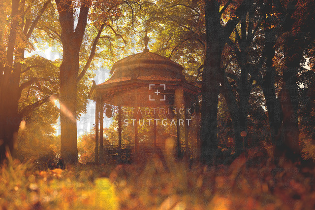 _DSC6546 | "Entdecken Sie atemberaubende Bilder von Stuttgart im Fotowerk Stuttgart! Kaufen Sie hochwertige Fotos auf Leinwand oder laden Sie digitale Downloads für Ihre Wohnung oder Büros herunter.  - Realisiert mit Pictrs.com