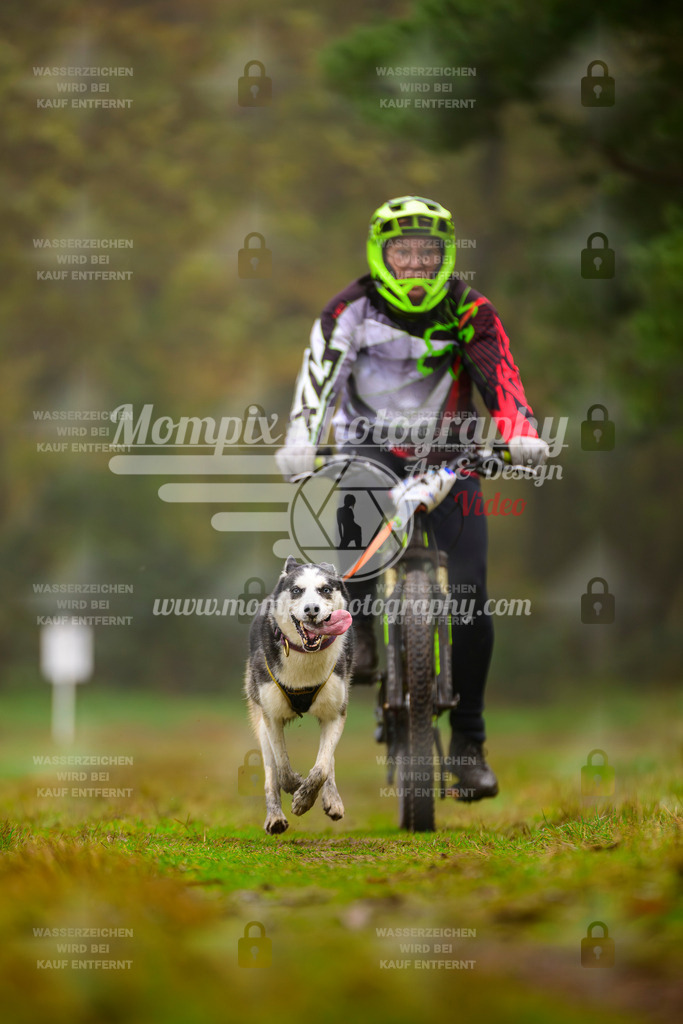 MompixPhotography_Bischwiller2025_Bike-72 | mompixphotography
