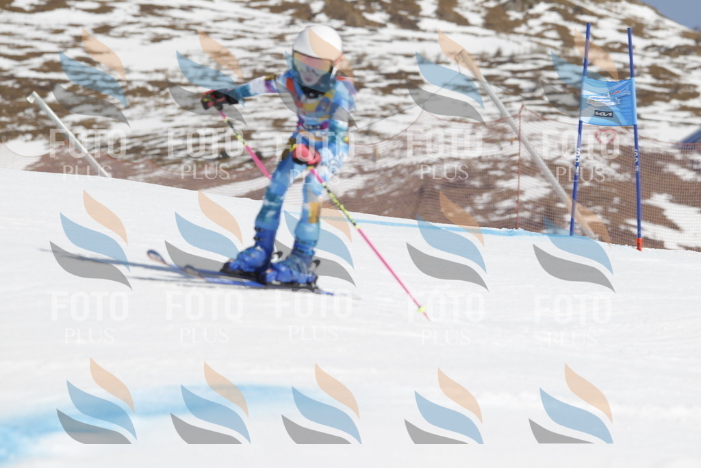 _U3G0560 | holidayphoto