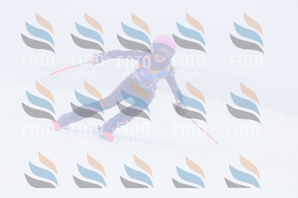 C2461 | holidayphoto