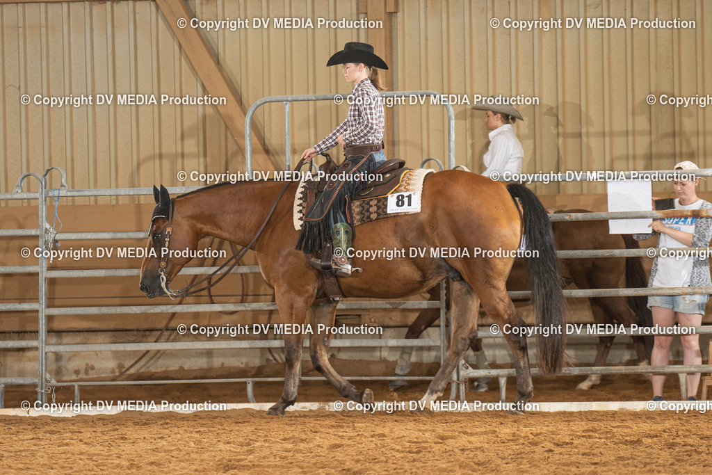 NID01489 | dv-media-shop - Realisiert mit Pictrs.com