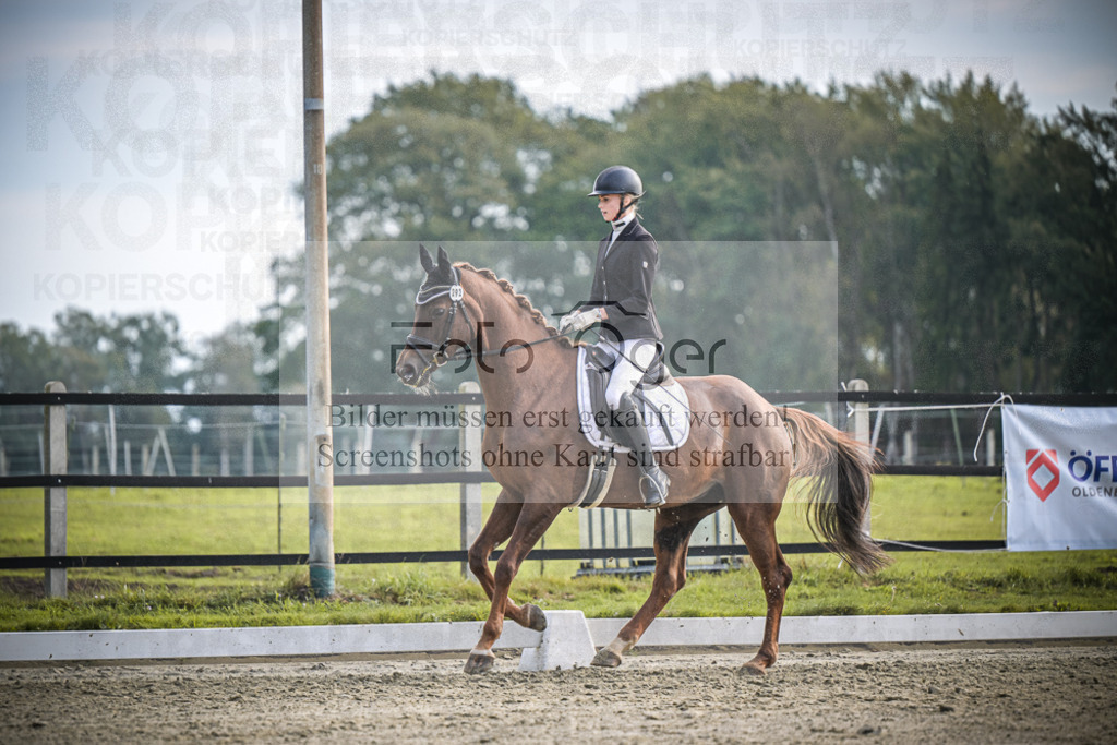 DOS_B117 | Entdecke hochwertige Reitturnierfotos von Foto Oger. Professionell, emotional und authentisch – jetzt Lieblingsmomente im Shop bestellen.Deutschlandweite Turnierfotografie. - Realisiert mit Pictrs.com