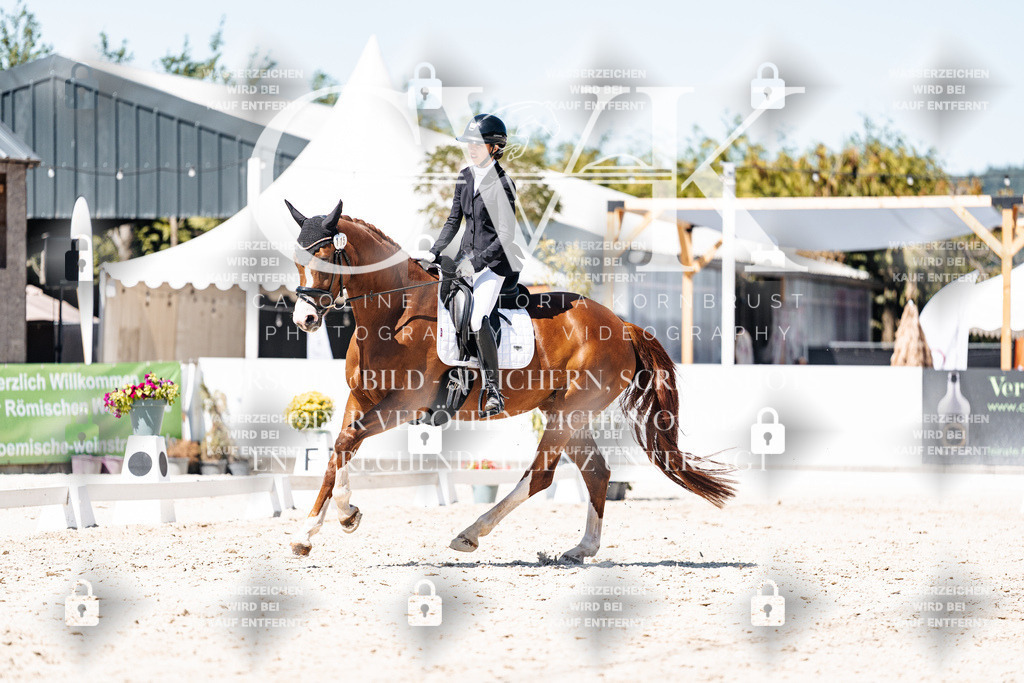 CK900507 | Turnierfotografie Pferdefotografie Trier Rheinland-Pfalz Pferdesport Reitsport Tierfotografie Sportfotografie Pferdevideo Pferdevideografie Equestrianvideography equestrianphotography  - Realisiert mit Pictrs.com