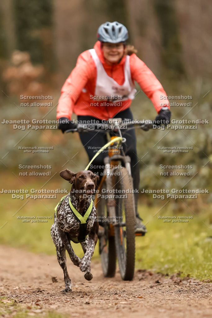 Dog Paparazzi - Speedhunter Mannheim  2025-345 | Dog Paparazzi Jeanette Grottendiek Fotografie & Videografie