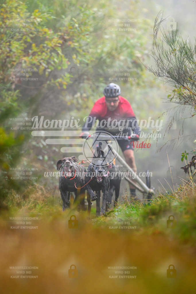 MompixPhotography_20TSB_E4_Kart-9 | PayLife