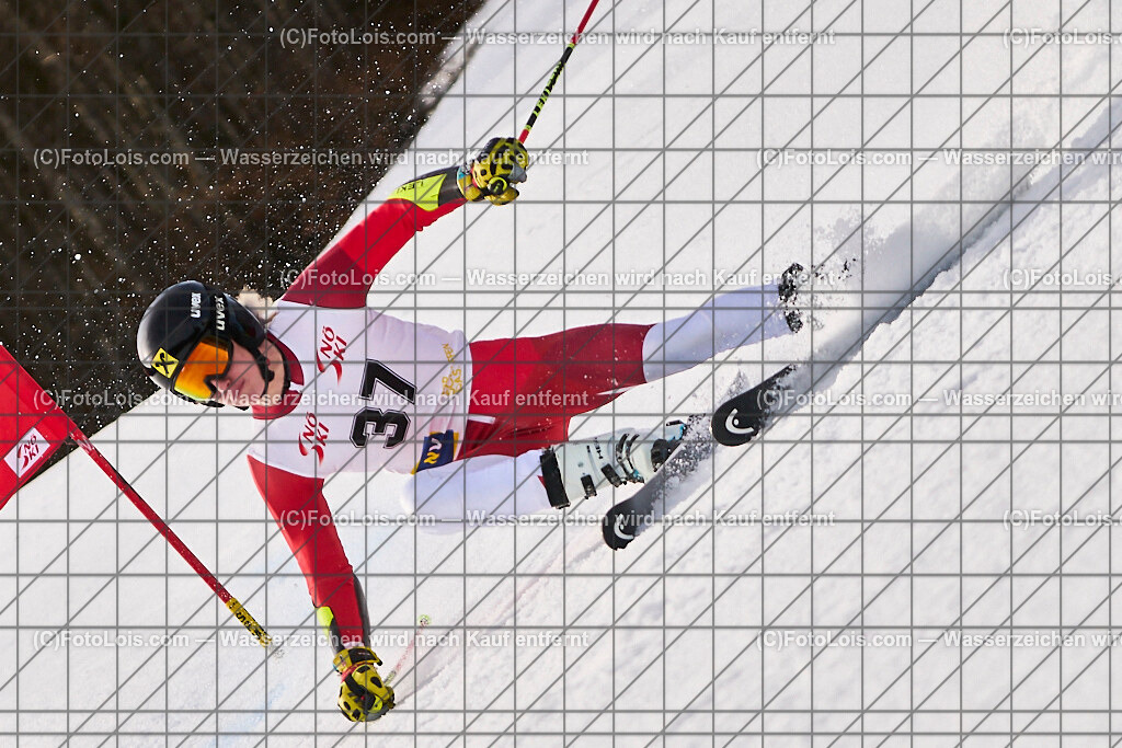 ALP8379_Herrn-FIS-GS-II_Lackenhof-WY_Gstrein Niklas | Internationaler FIS GiantSlalom der Herrn auf der Distelpiste in Lackenhof am Di 11. März 2025.  Österreich, LSV-NÖ, Sportunion Waidhofen/Ybbs (2035).