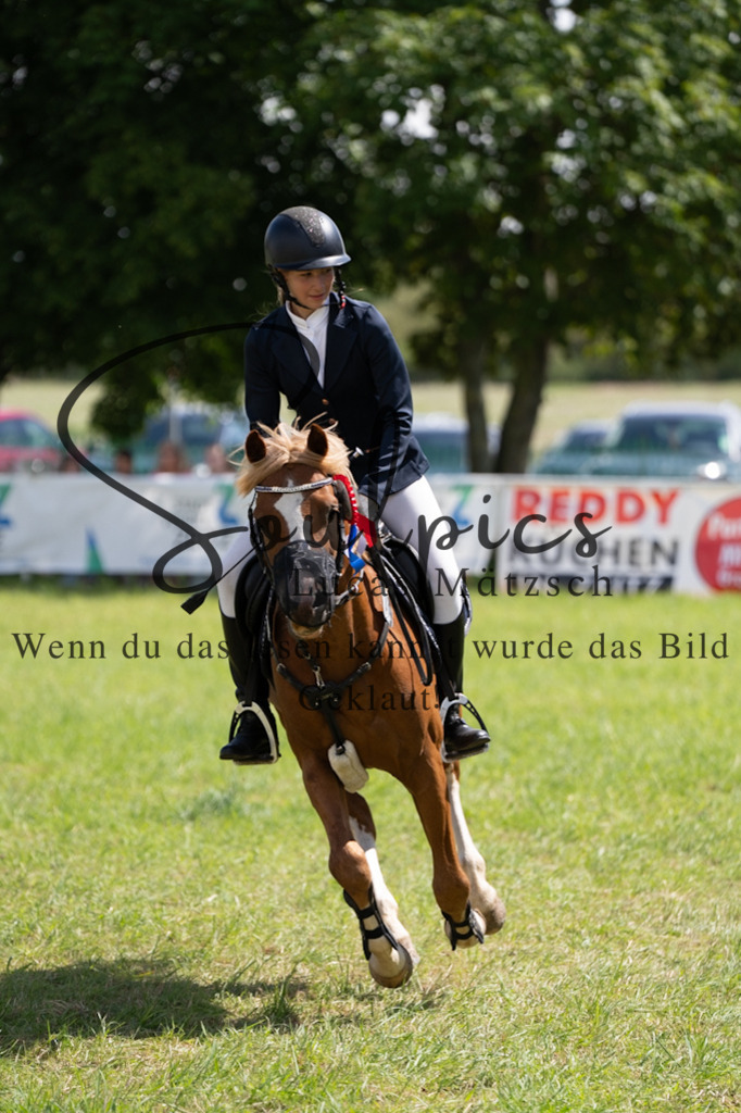 A7V04399 | Turnier/Reitfotograf