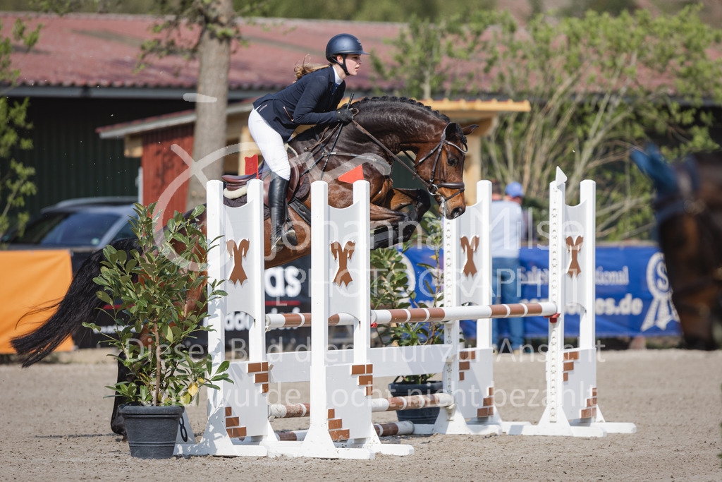 220426_Mühlen_SprPfA2-203 | Late Entry Mühlen
26.04.2022
02 Springpferde-A** 4-6j