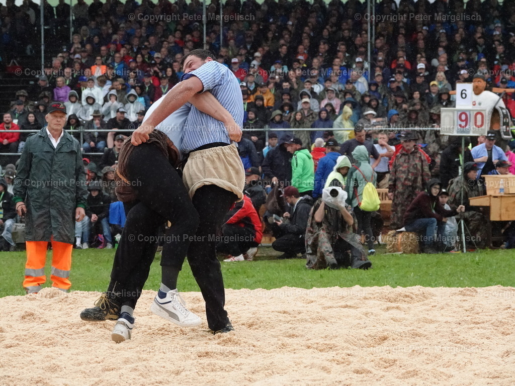 DSC07911 | Schwingen - Realisiert mit Pictrs.com