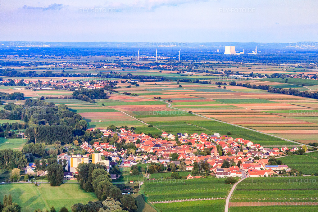 Luftbild: Ortsansicht von Westen in Freimersheim im Bundesland Rheinland-Pfalz in Deutschland. Foto: IMG_71242.jpg vom 27.08.2014 durch Werner Riehm/FLY-FOTO.deAuflösung des Originals: 4581 x 3054 px