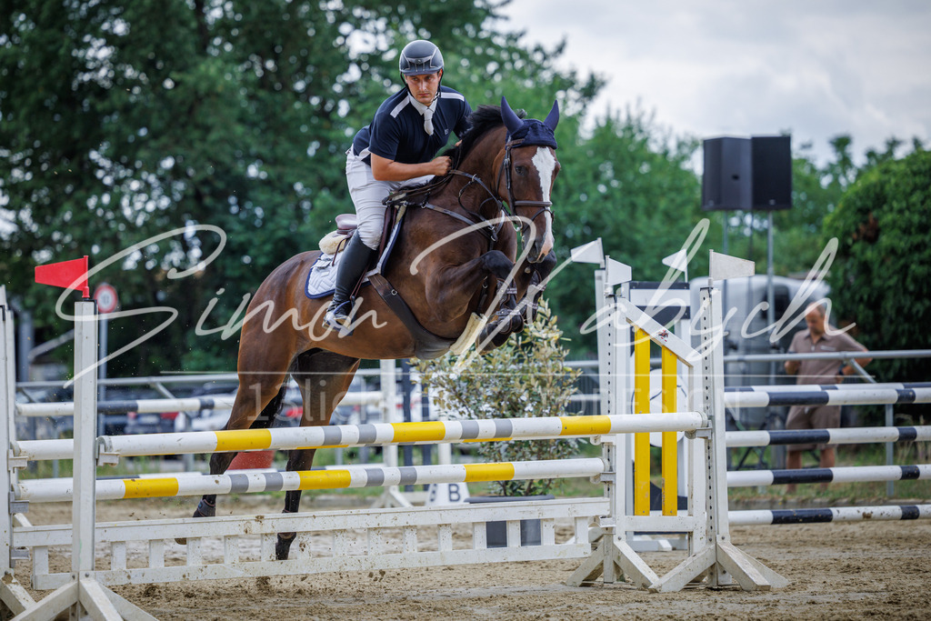 20260705-_3LI5978 | Tierfotografie Pferde, Hunde, Katzen, Haustiere.
Turnierfotografie Reitturniere, Reiten, Springreiten, Dressur in Hanau, dem Main-Kinzig-Kreis und dem Rhein-Main- Gebiet um Frankfurt
