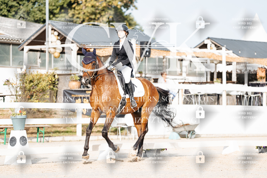 CK904090 | Turnierfotografie Pferdefotografie Trier Rheinland-Pfalz Pferdesport Reitsport Tierfotografie Sportfotografie Pferdevideo Pferdevideografie Equestrianvideography equestrianphotography  - Realisiert mit Pictrs.com