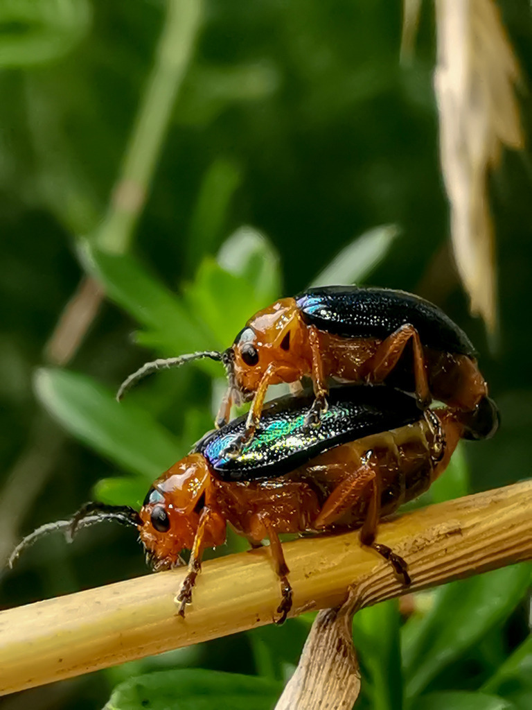 PSX_20230825_232303 | mtkfoto_ - Realisiert mit Pictrs.com