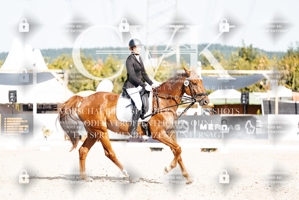 CK905488 | Turnierfotografie Pferdefotografie Trier Rheinland-Pfalz Pferdesport Reitsport Tierfotografie Sportfotografie Pferdevideo Pferdevideografie Equestrianvideography equestrianphotography  - Realisiert mit Pictrs.com