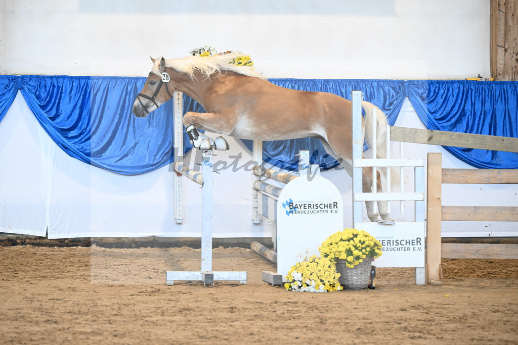 Kat-Nr. 28 nn v. Nio_Kirchberger_48250586 | hf-fotografie - Realisiert mit Pictrs.com