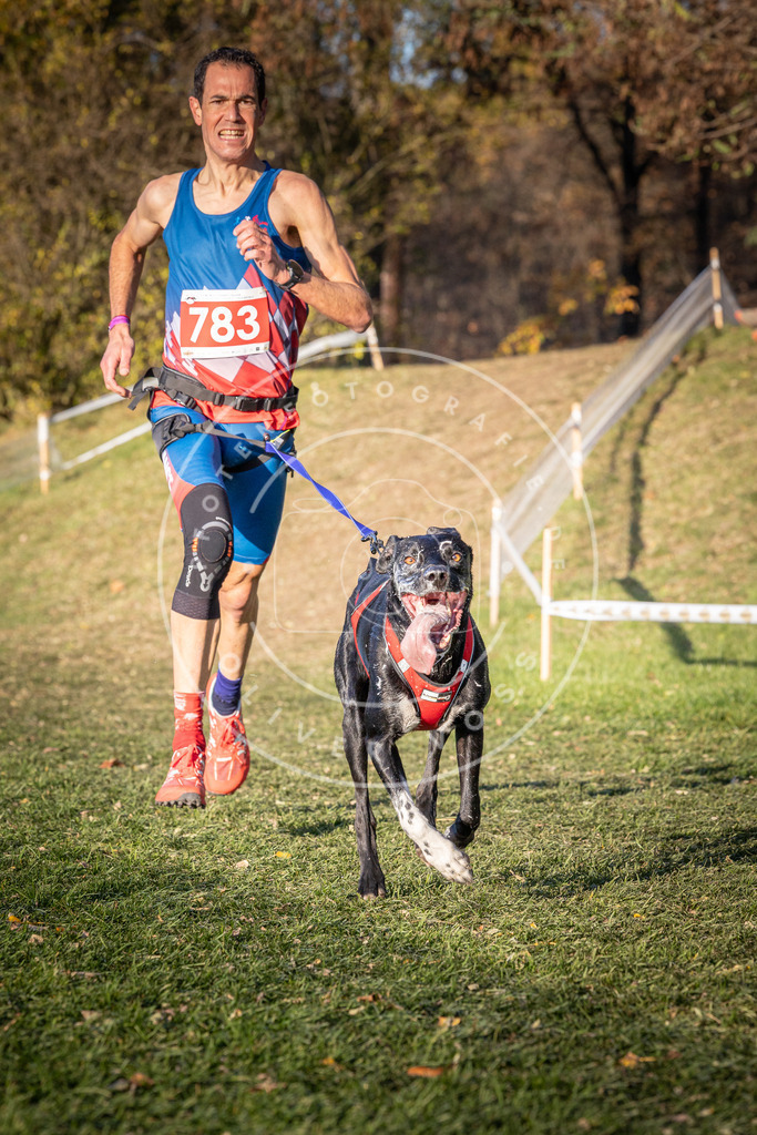 CaniXpix_0L8A0165 | Hundefotografie, Tierfotograf, Pfotenfotografie, Fotoshooting Hund, Hunde Portrait, Hundesport, Hundeportraits, Heideshooting, Hunde, Sportfotograf, Hundefotograf, Turnierhundsport, THS,  - Realisiert mit Pictrs.com