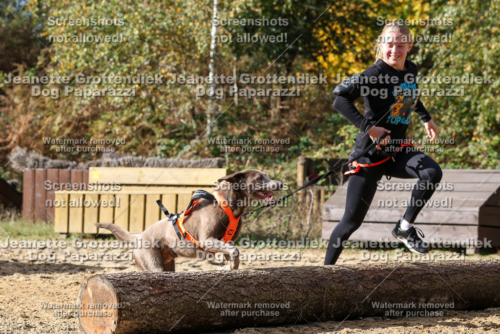 Dog Paparazzi - Strongdog 10-25-5148 | Dog Paparazzi Jeanette Grottendiek Fotografie & Videografie - Realisiert mit Pictrs.com