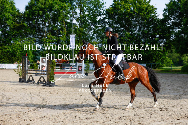 _62_3536 | larahueckfotografie