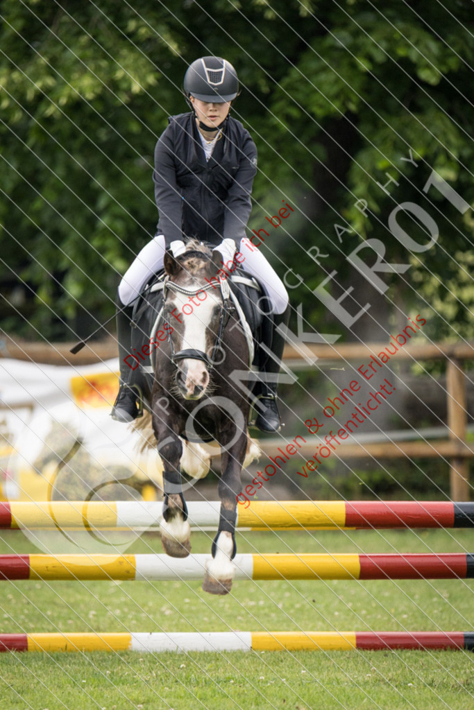 IMG_2722 | Sport-, Event- und Tierfotos in Profiqualität. Einfach auswählen, bestellen und herunterladen. Dein Moment – perfekt festgehalten.