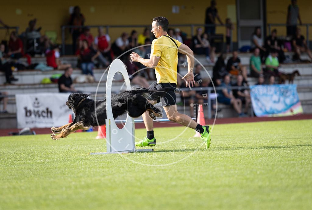 Pfotenfotografie_DV3A2054 | Hundefotografie, Tierfotograf, Pfotenfotografie, Fotoshooting Hund, Hunde Portrait, Hundesport, Hundeportraits, Heideshooting, Hunde, Sportfotograf, Hundefotograf, Turnierhundsport, THS,  - Realisiert mit Pictrs.com