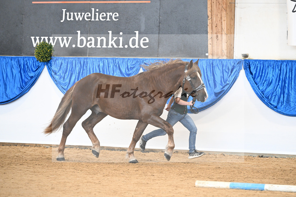 Kat-Nr. 53 nn v. Nickerbocker_Bierling_39250840 | hf-fotografie - Realizzato con Pictrs.com
