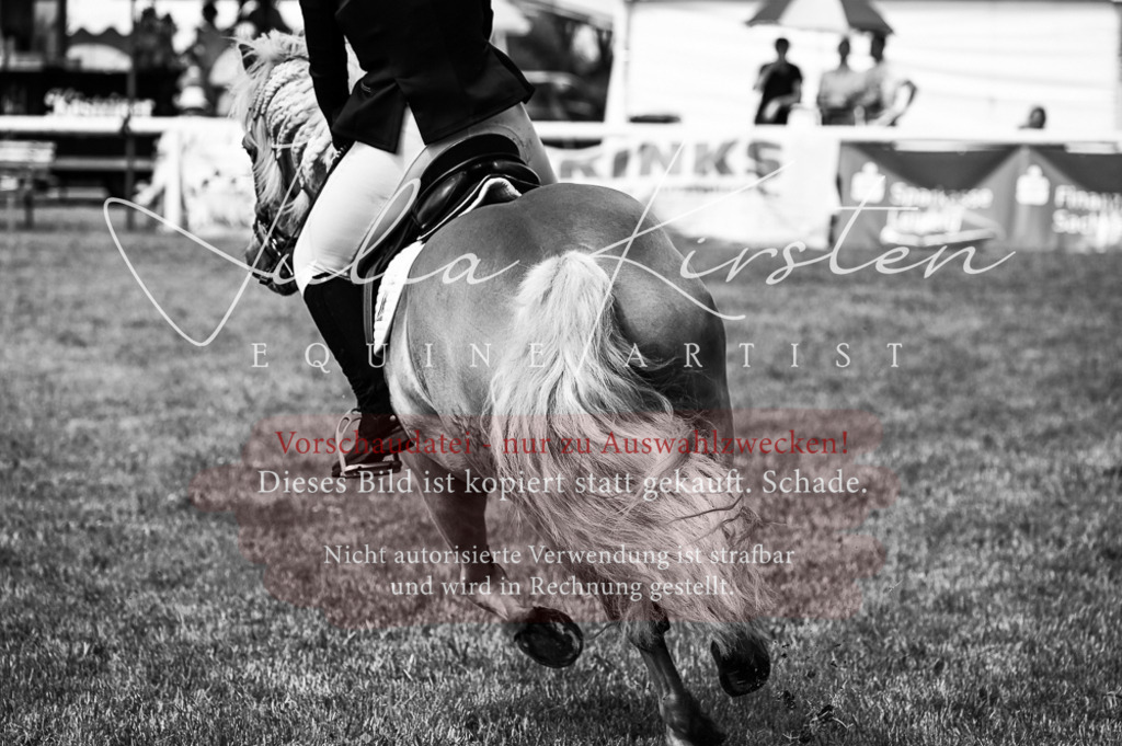 DSC_8741 | Pferde- und Turnierfotografie in Westsachsen. Pferdeportraits, Auftragszeichnungen und intuitive Kunst.