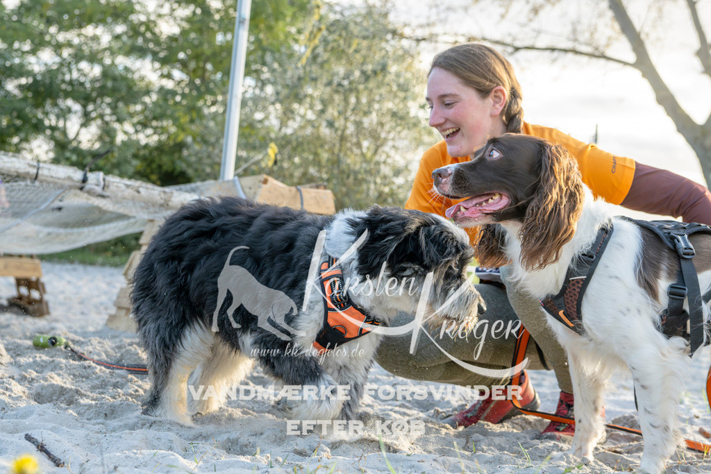 1642_ZZ98643 | kk-dogfotos