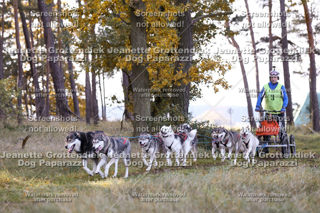 Dog Paparazzi - Elsholz 25 -42 | Dog Paparazzi Jeanette Grottendiek Fotografie & Videografie - Realisiert mit Pictrs.com